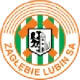 Logo local