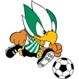 Logo fondo visitante