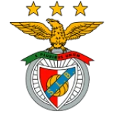 Logo fondo visitante