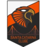 Logo local