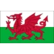Escudo del Wales U18