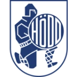 Logo fondo visitante