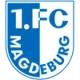 Escudo de Magdeburg II