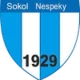 Escudo de Sokol Nespeky
