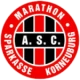 Escudo de Korneuburg