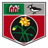 Logo visitante