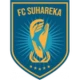 Logo visitante