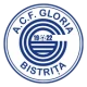 Escudo de Gloria Bistriţa