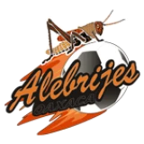 Logo fondo visitante