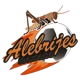 Logo visitante