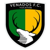 Logo fondo visitante
