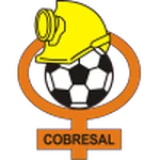 Logo fondo visitante