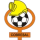 Escudo de Cobresal
