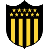 Logo fondo visitante
