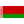 Logo de Belarus W