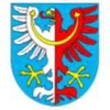 Logo fondo visitante