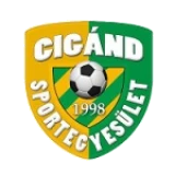 Logo fondo visitante