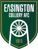 Logo fondo visitante