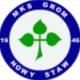 Escudo de Grom Nowy Staw