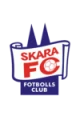 Escudo de Skara