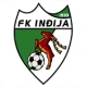 Escudo de Indjija