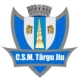 Escudo de CSM Targu Jiu
