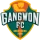 Escudo de Gangwon F.C.