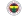 Fenerbahce W