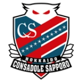 Logo fondo visitante
