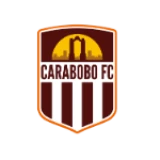 Logo fondo visitante