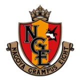 Logo fondo visitante