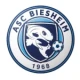 Escudo de Biesheim