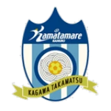 Logo fondo visitante