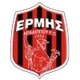 Escudo del Ermis