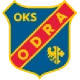 Logo local