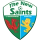 Escudo de The New Saints