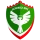 Escudo de Amed