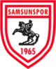 Escudo de Samsunspor