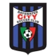 Escudo de Bayswater City