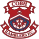Escudo de Cobh Ramblers