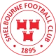 Escudo de Shelbourne