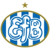 Logo fondo visitante