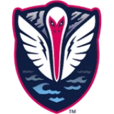 Logo fondo visitante
