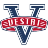 Logo fondo visitante
