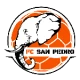 Escudo de San-Pédro
