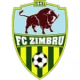 Escudo de Zimbru