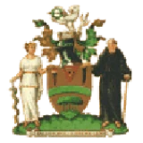 Logo fondo visitante