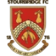 Escudo de Stourbridge