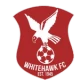 Logo local