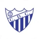 Escudo de Cinfães